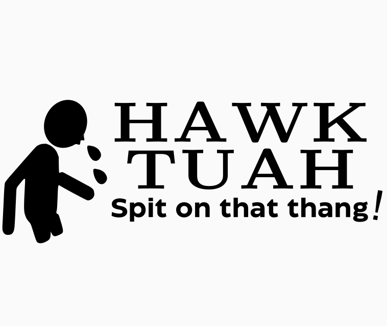 Hawk Tuah Decals