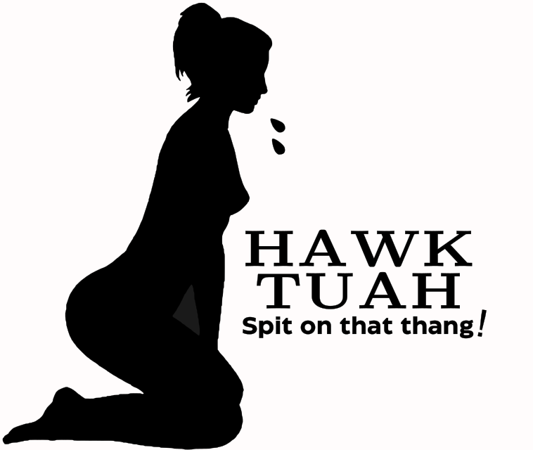 Hawk Tuah Decals