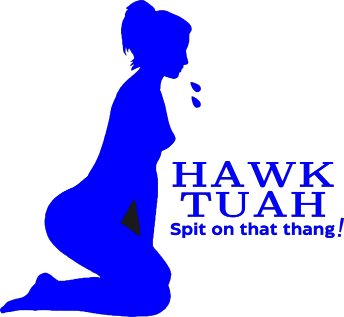 Hawk Tuah Decals