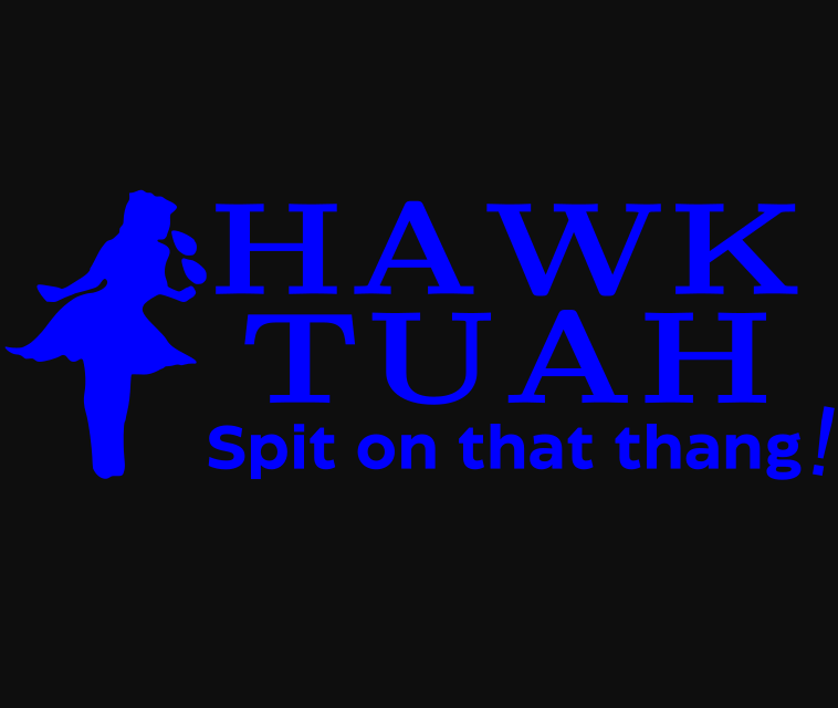 Hawk Tuah Decals