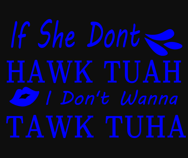 Hawk Tuah Decals