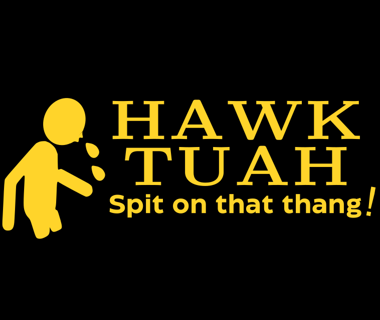 Hawk Tuah Decals